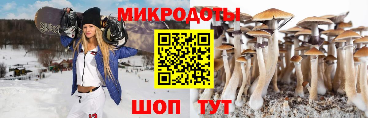 Псилоцибиновые грибы Psilocybine cubensis  Вход с VPN  Железноводск 