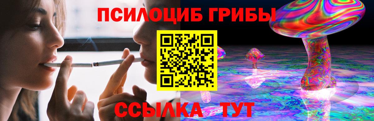 Псилоцибиновые грибы Psilocybe Железноводск